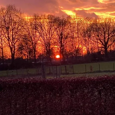 In Near Lakes * Plasmolen