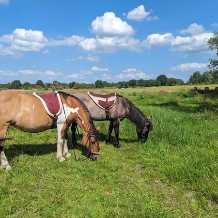 In Near Lakes Semesterbostad Plasmolen