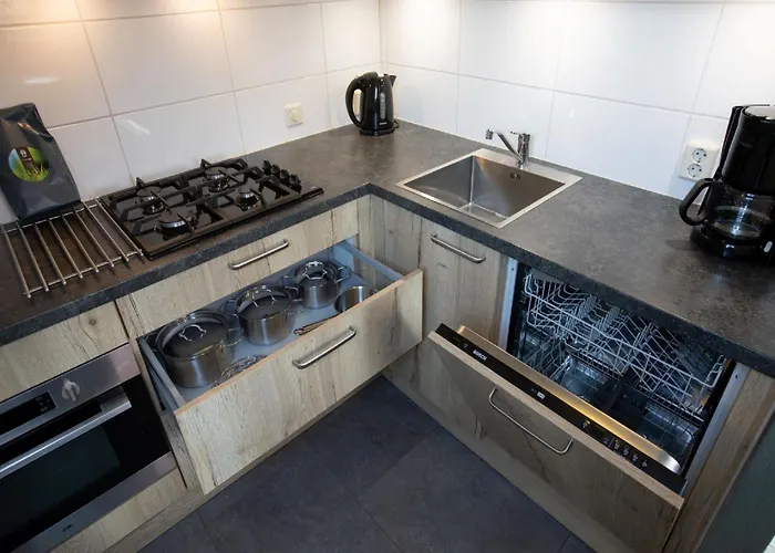 In Near Lakes 別荘 Plasmolen