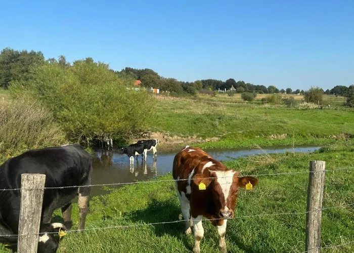 In Near Lakes 別荘 *