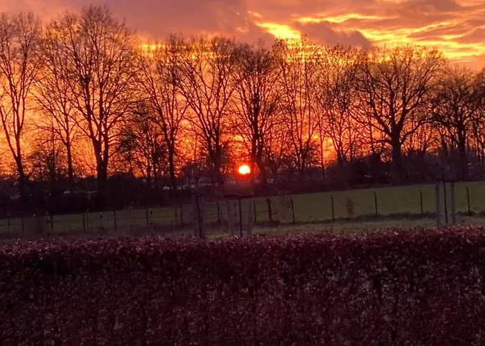 In Near Lakes * Plasmolen