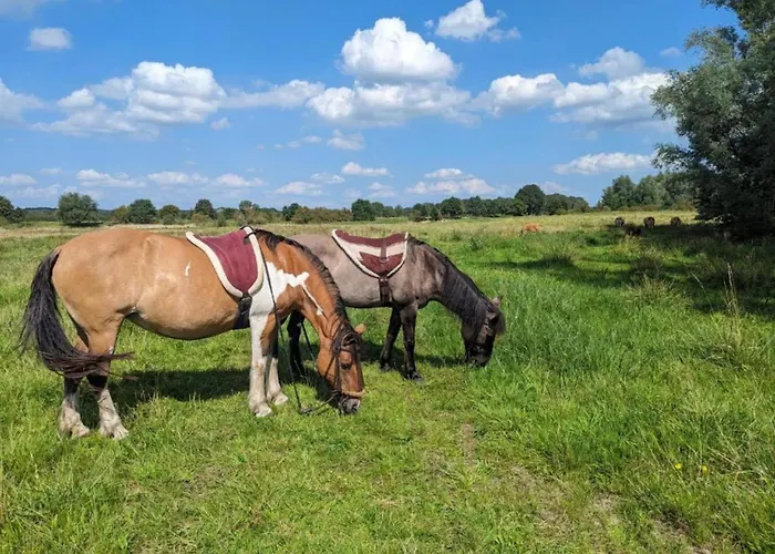 In Near Lakes 別荘 Plasmolen