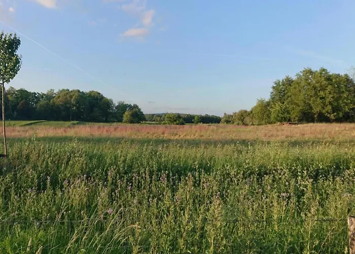 In Near Lakes Plasmolen