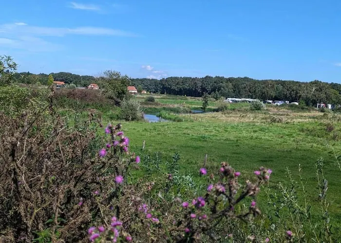 In Near Lakes * Plasmolen