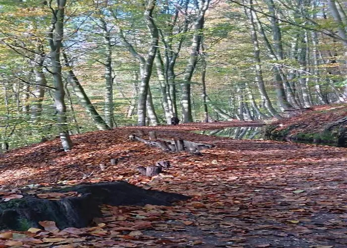 In Near Lakes 別荘