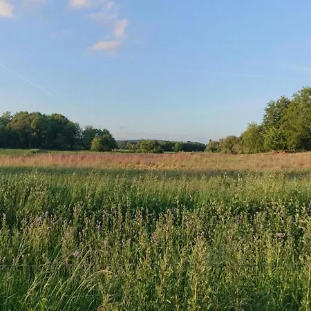 In Near Lakes Plasmolen