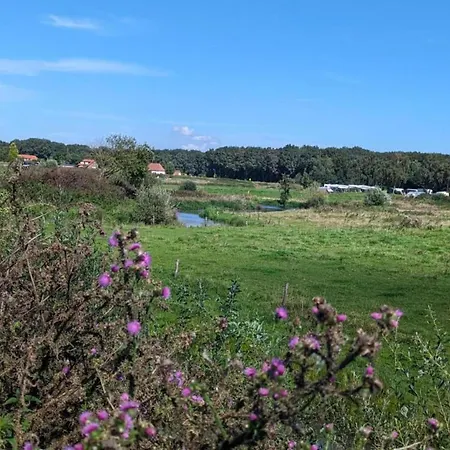 In Near Lakes * Plasmolen