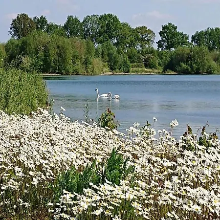 In Near Lakes 度假居 Plasmolen